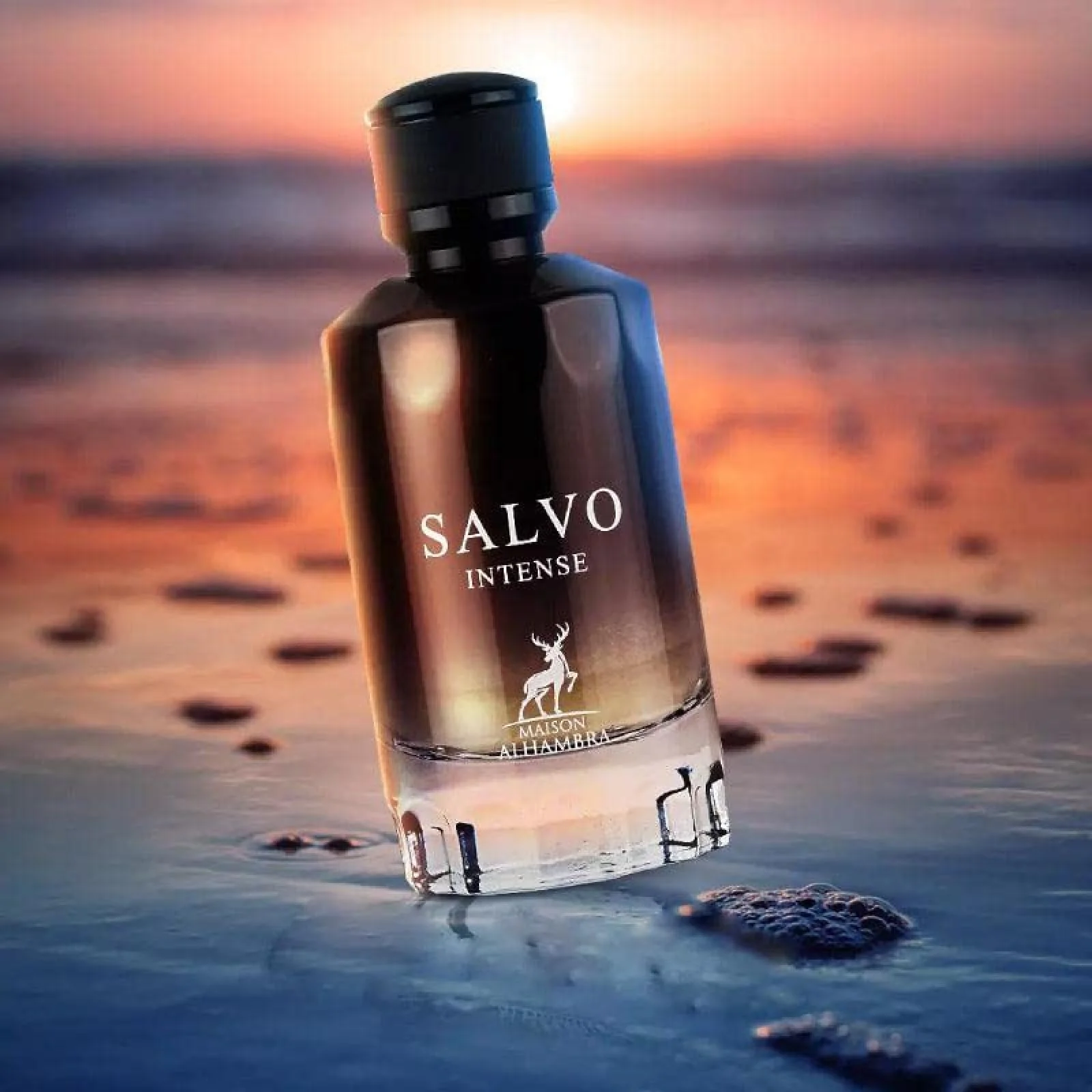 Maison Alhambra Salvo Intense Eau de Parfum for Men - Image 4