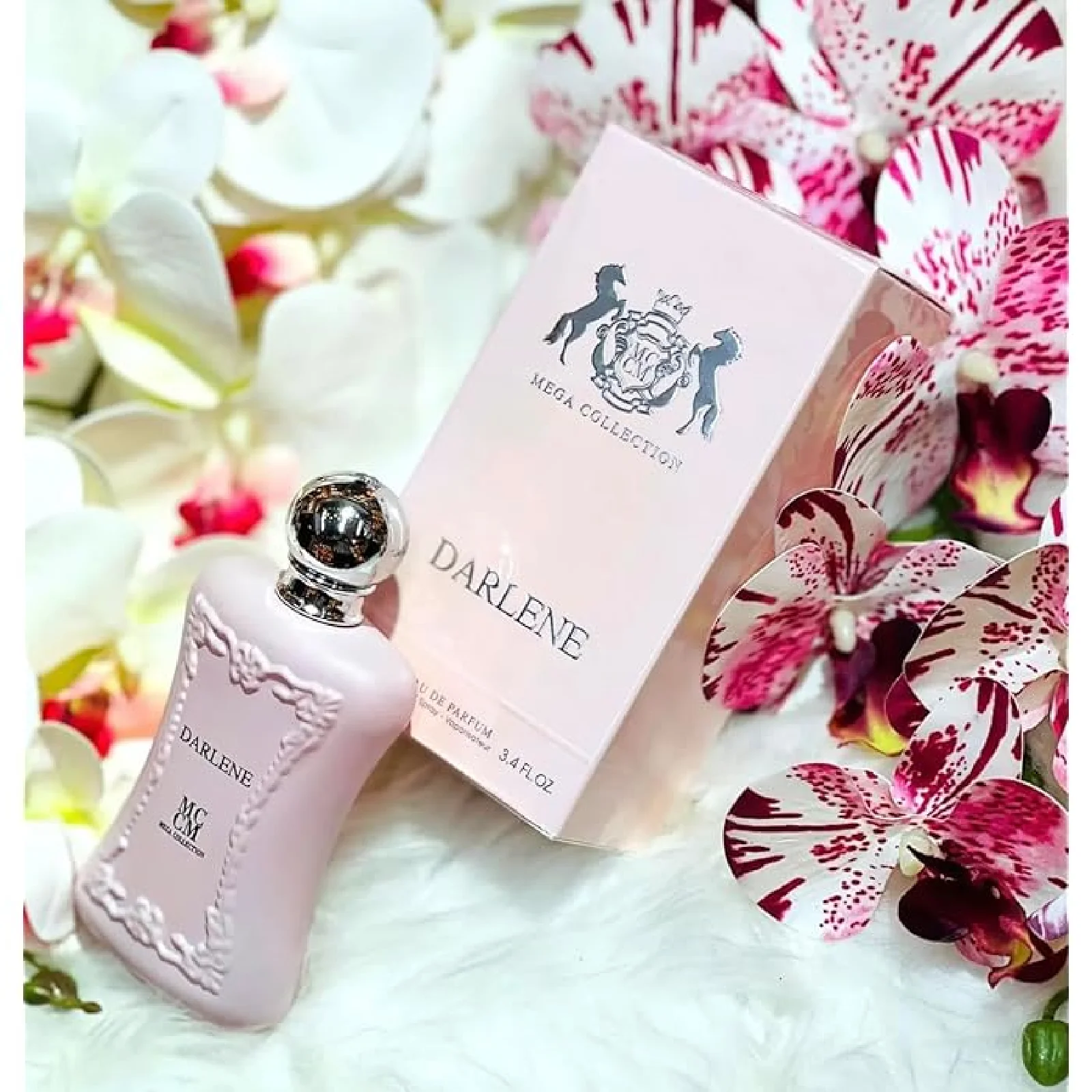 Mega Collection Darlene Eau de Parfum for Women - Image 3