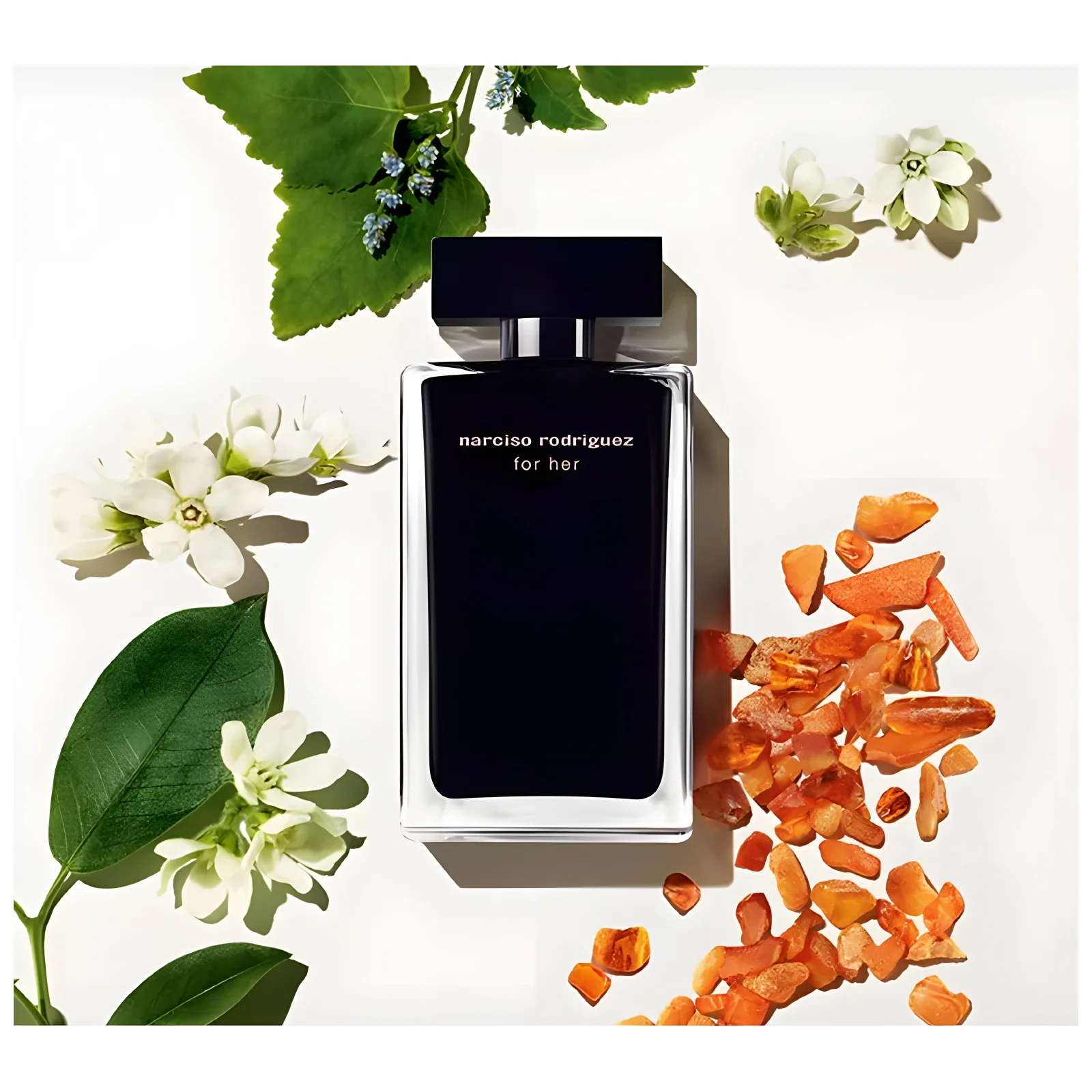 Narciso Rodriguez For Her Eau de Toilette for Women - Image 6