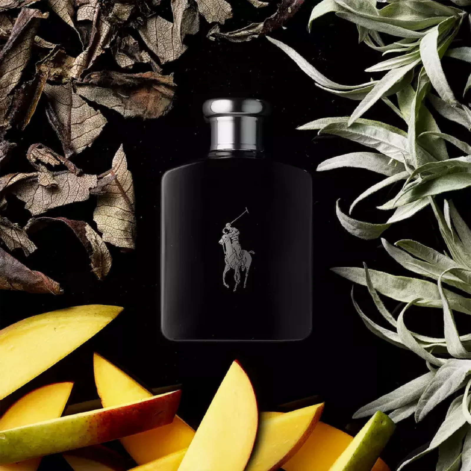 Ralph Lauren Polo Black Eau de Toilette for Men - Image 3