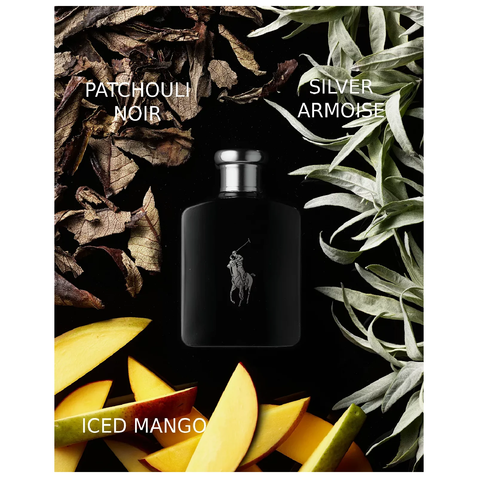 Ralph Lauren Polo Black for Men - Image 3