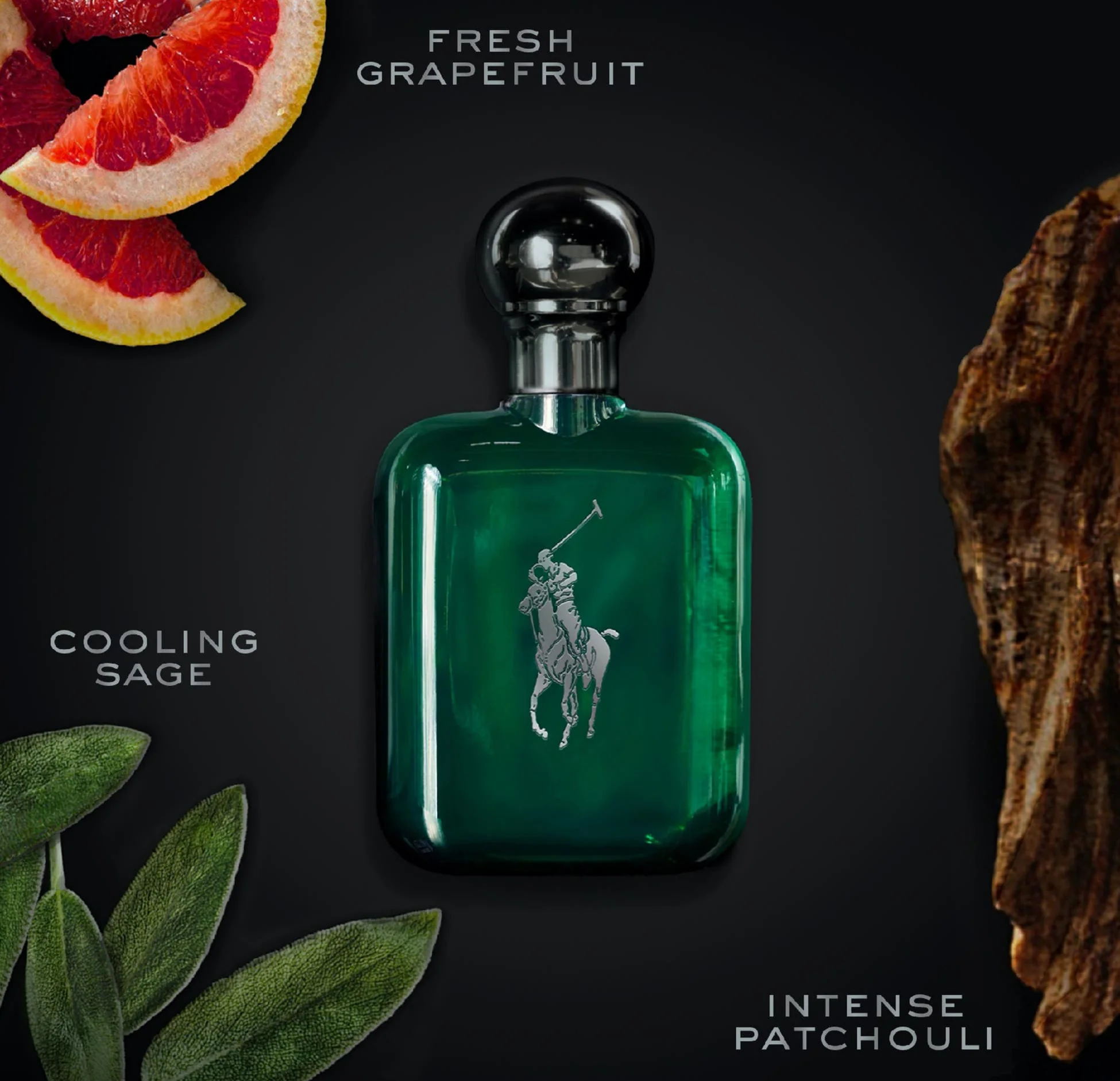 Ralph Lauren Polo Intense Cologne for Men - Image 4