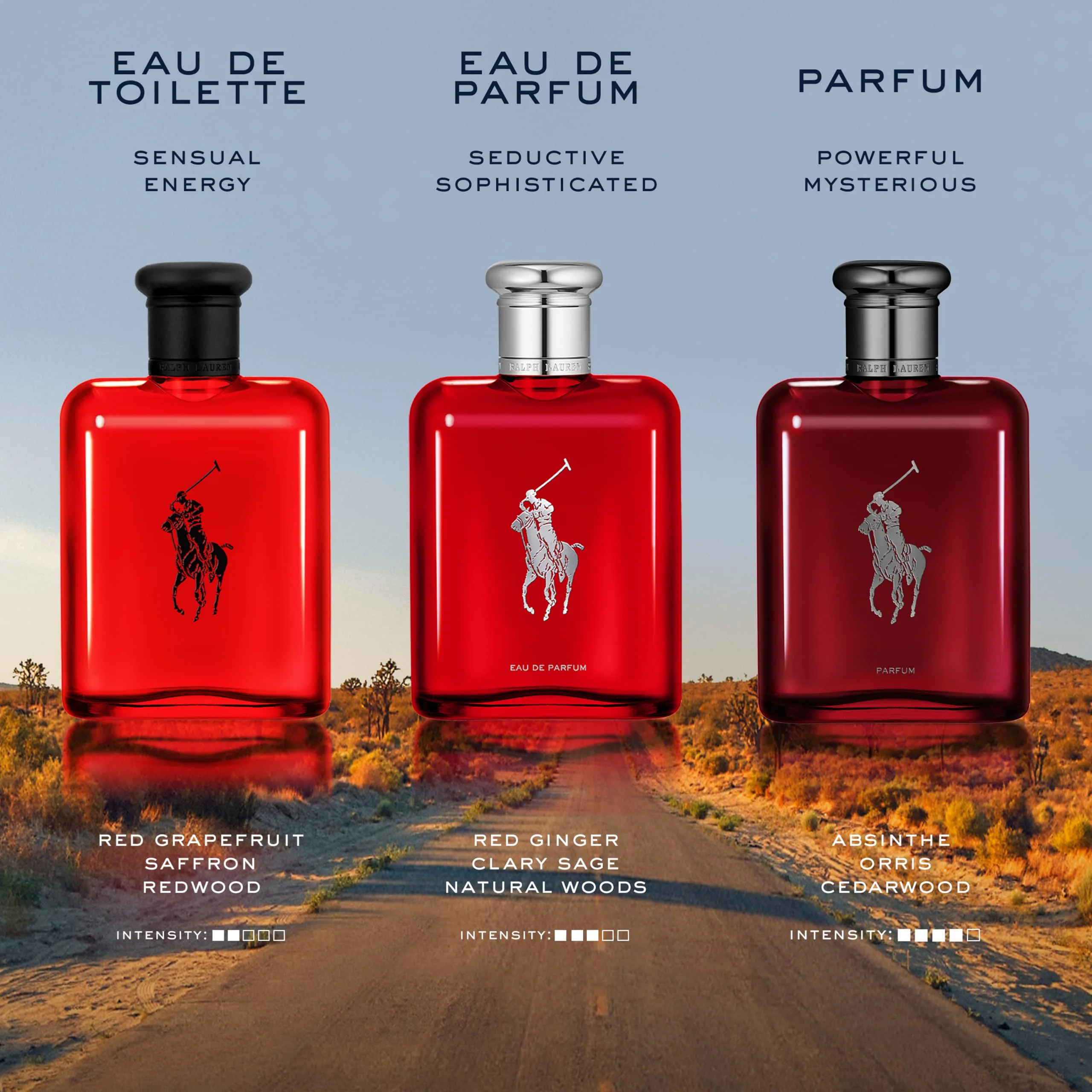 Ralph Lauren Polo Red Eau de Parfum for Men - Image 12