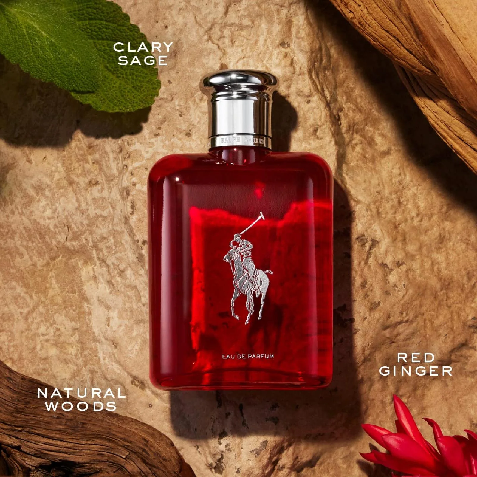 Ralph Lauren Polo Red Eau de Parfum for Men - Image 5
