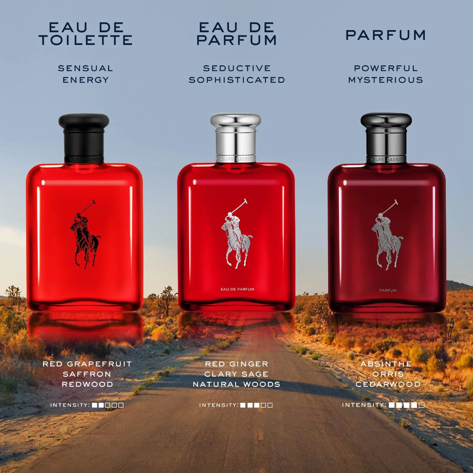 Ralph Lauren Polo Red Eau de Parfum for Men - Image 7