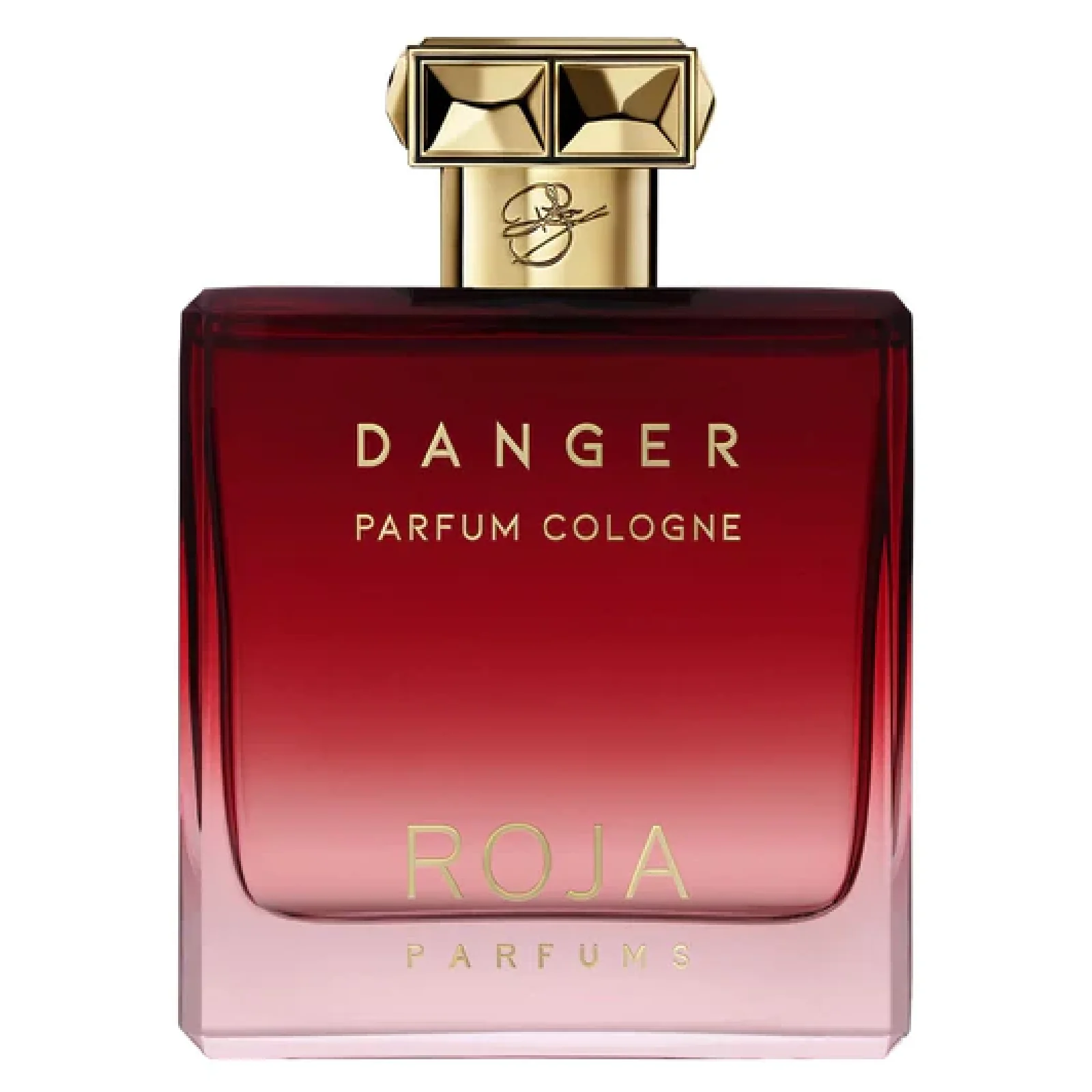 Roja Danger Parfum Cologne Eau de Parfum for Men - Image 3
