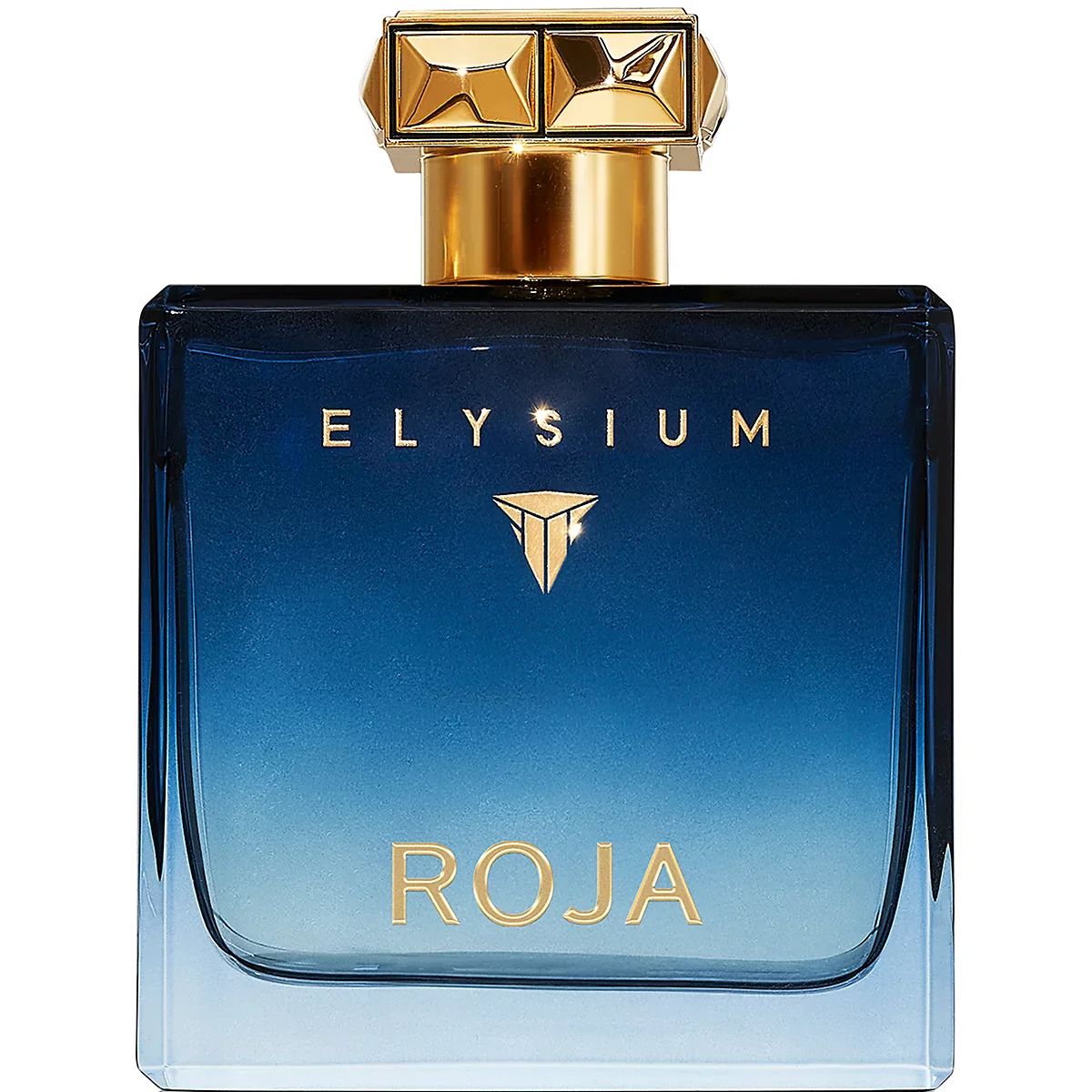 Roja Elysium Pour Homme Eau de Parfum for Men