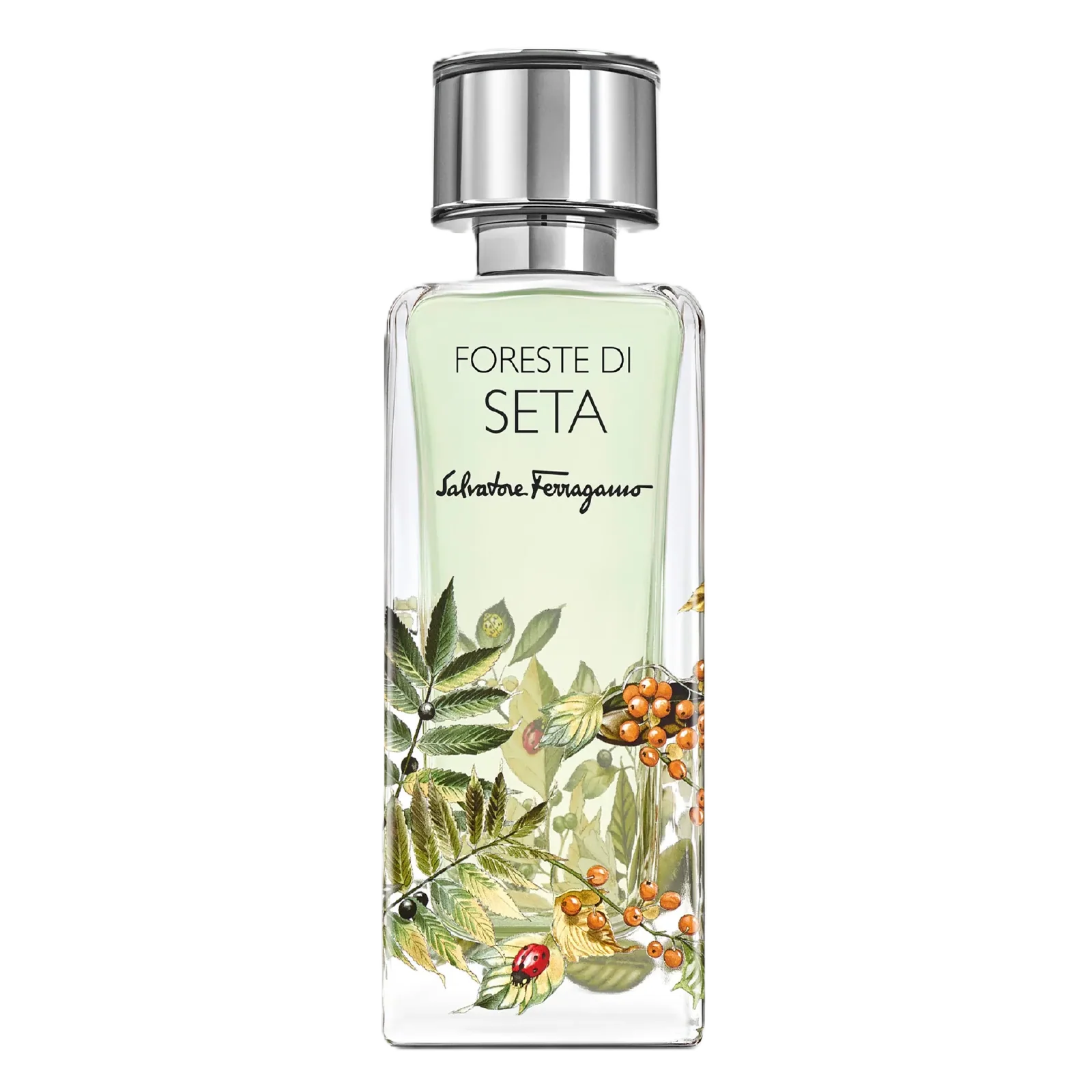 Salvatore Ferragamo Foreste Di Seta Eau de Parfum for Everyone