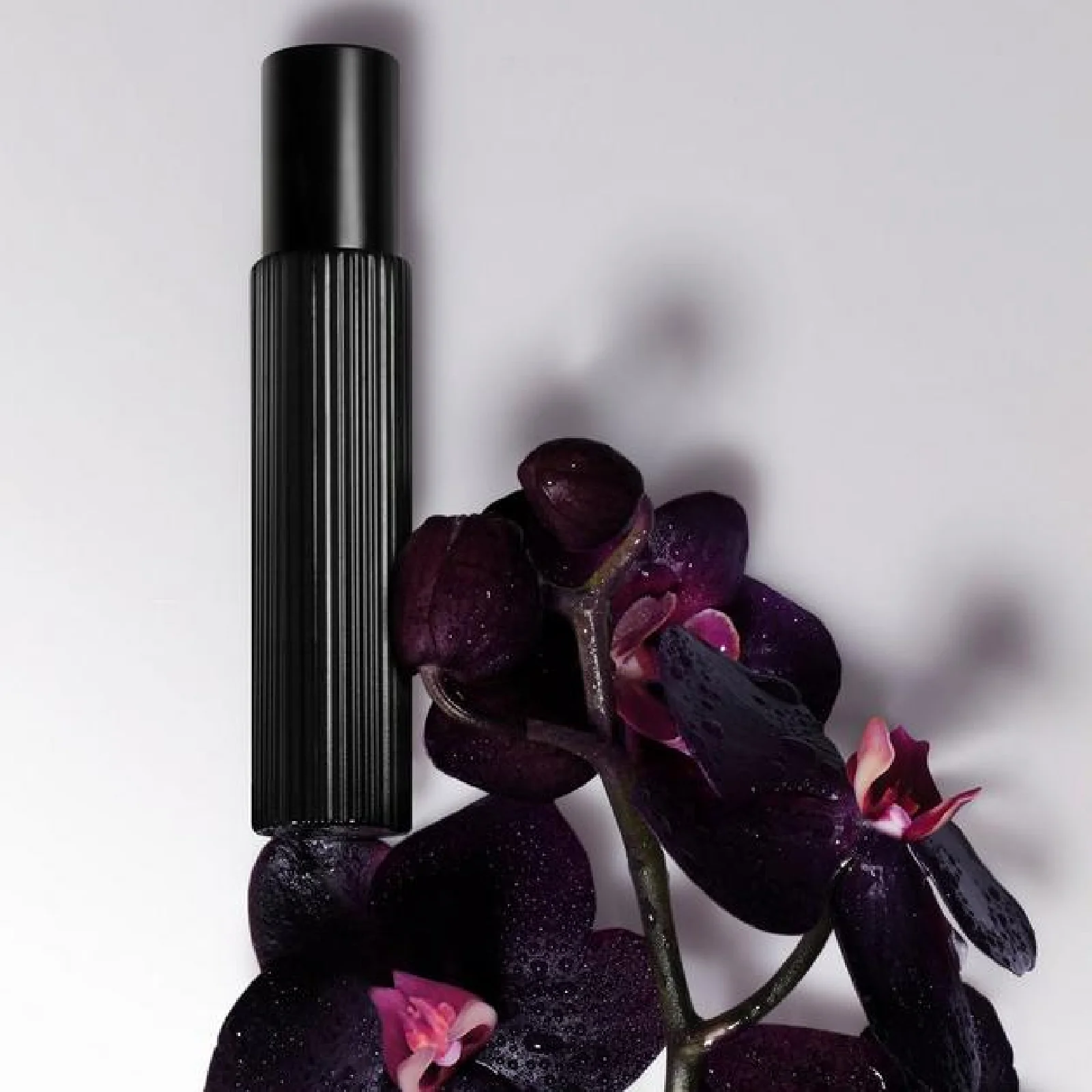 Tom Ford Black Orchid Eau de Parfum for Women - Image 10
